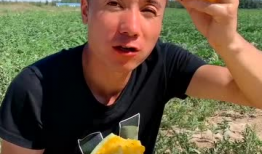 乌拉吃瓜爆料是真的吗,真相揭秘，是真是假？