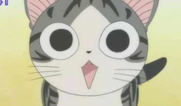 起司猫动漫,萌宠奇遇记，探索奇幻美食世界